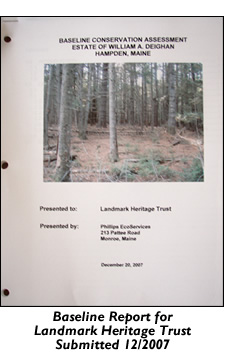 Baseline report for Landmark Heritage Trust