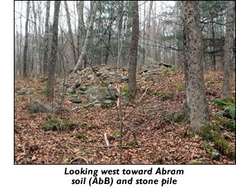 looking west toward Abram soil (AbB) and stone pile